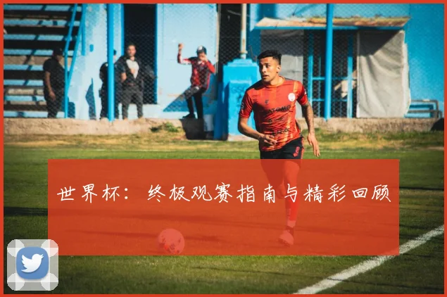 世界杯:终极观赛指南与精彩回顾
